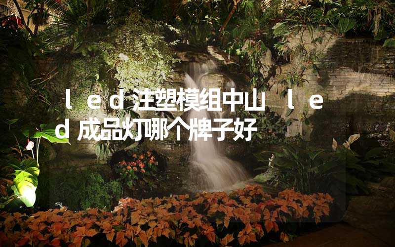 led注塑模组中山 led成品灯哪个牌子好